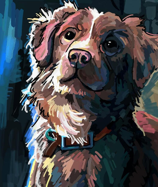 Illustration for Good Boy Illustration for Good Boy